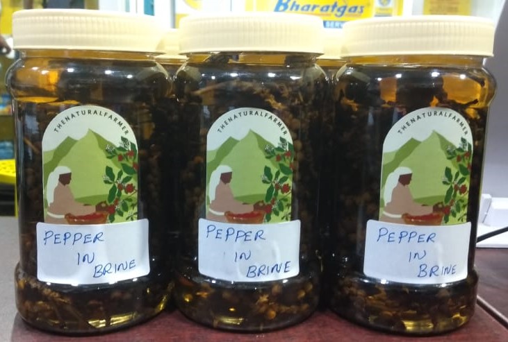 Pepper in Brain Bath